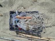 /images/about-meissa/03plastik-aktion/plastic-findings/2025_06_18.jpg