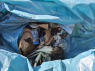 /images/about-meissa/03plastik-aktion/plastic-findings/2025_10_01_d.jpg