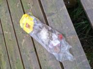 /images/about-meissa/03plastik-aktion/plastic-findings/2026_08_08.jpg