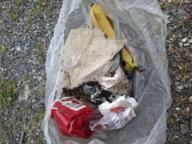 /images/about-meissa/03plastik-aktion/plastic-findings/2026_08_15_b.jpg
