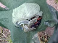 /images/about-meissa/03plastik-aktion/plastic-findings/2026_08_15_c.jpg